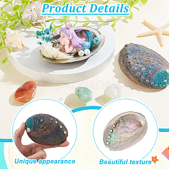 Украшение из натуральной раковины морского ушка&nbsp;FIND-WH0817-038A