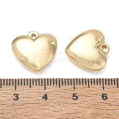 Pendentifs en acier inoxydable 304&nbsp;SA-CBA3037-20G-09
