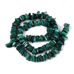 Нити бусин из натуральных пресноводных ракушек SHEL-T020-41