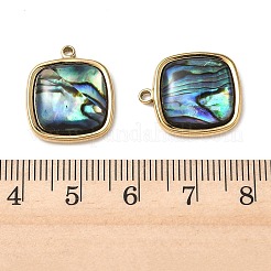 Natur Paua Muschel Anhänger&nbsp;STAS-G397-20G-02
