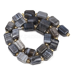 Природные Ботсвана агат бисер нитей&nbsp;G-P611-A01-02