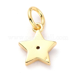 Латунь эмаль подвески&nbsp;KK-M218-10A-RS