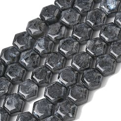 Natürliche Larvikit-Perlenstränge&nbsp;G-G463-A05-10x11mm