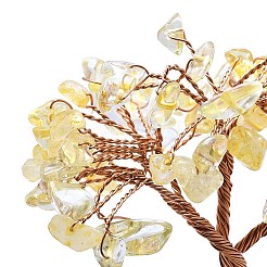 Украшения для витрин из натурального желтого кварца и аметиста пахиры глабра&nbsp;DJEW-K025-06C