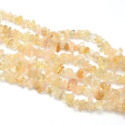 Chapelets de perles de citrine naturelle, teints et chauffée, puces, 5~8x5~8mm, Trou: 1mm, environ 31.5 pouce