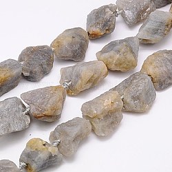 Natural Labradorite Beads Strands, Nuggets, Tan, 18~35x15~26x9~21mm, Hole: 1mm