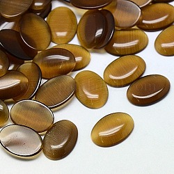 Cat Eye Cabochons, Oval, Saddle Brown, 7x5x2mm