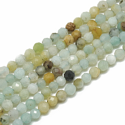 Brins de perles d'amazonite de fleurs naturelles, facette, ronde, 3~3.5mm, Trou: 0.3mm, Environ 143 pcs/chapelet, 14.9 pouce