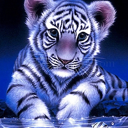 Kits de pintura de diamantes de tigre rectangular diy, incluyendo lienzo, diamantes de imitación de resina, bolígrafo adhesivo de diamante, plato de bandeja y arcilla de cola, azul oscuro, 400x300mm