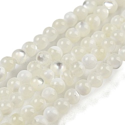 Fili di perle di conchiglia trochid naturale / trochus, tondo, 2mm, Foro: 0.2 mm, circa 212pcs/filo, 15.04'' (38.2 cm)