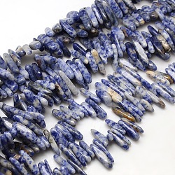 Perles de jaspe tache bleue naturelle, puces, 13~26x4~8x4~6mm, Trou: 1mm, Environ 80~90 pcs/chapelet, 15~16 pouce
