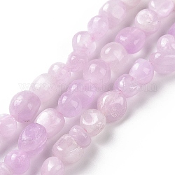 Chapelets de perles en kunzite naturelle, pépites, 6~8.5x5~7.5x3.5~6mm, Trou: 1mm, Environ 72 pcs/chapelet, 16.54'' (42 cm)