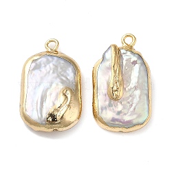 Colgantes de perlas keshi barrocas naturales, con fornituras de latón chapado en cremallera, dijes rectangulares, real 14k chapado en oro, Alice azul, 22~26x14~15x4~8.5mm, agujero: 1.8 mm