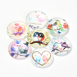 Cabochons en verre imprimé à dos plat, dôme / demi-rond, motif oiseau, couleur mixte, 10x3.5mm