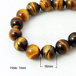 Chapelets de perles d'œil de tigre naturel, ronde, verge d'or, 16mm, Trou: 1mm, Environ 12 pcs/chapelet, 7.4 pouce