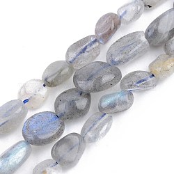 Chapelets de perles en labradorite naturelle , pierre roulée, pépites, 5~13x5~10x3~8mm, Trou: 1mm, Environ 40~60 pcs/chapelet, 14.57 pouce ~ 15.74 pouces (37~40 cm)