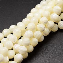 Chapelets de perles en coquillage naturel, ronde, blanc crème, 8mm, Trou: 0.8mm, Environ 51 pcs/chapelet, 15.75 pouce
