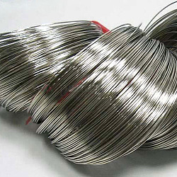 Stahldraht-Speicher, für die Herstellung von Wickelarmbändern, Nickelfrei, Platin Farbe, 18 Gauge, 1 mm, 60 mm Innen Durchmesser, 750 Kreise / 1000 g