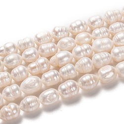 Fili di perle di perle d'acqua dolce coltivate naturali, riso, bisque, 12~13.5x9~10mm, Foro: 0.7 mm, circa 30pcs/filo, 14.17 pollice (36 cm)