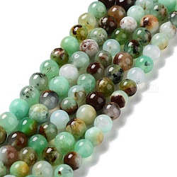 Brins naturels de perles de chrysoprase, ronde, grade AB, 8mm, Trou: 1mm, Environ 50 pcs/chapelet, 15.55~15.75 pouce (39.5~40 cm)