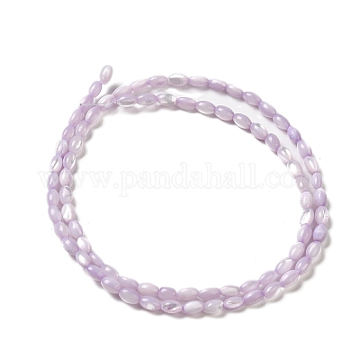 Нити бусин из натуральной ракушки трохус&nbsp;SHEL-K006-19B-1