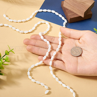 2 нить бусин из натуральных ракушек-трохусов SHEL-TA0001-20-1