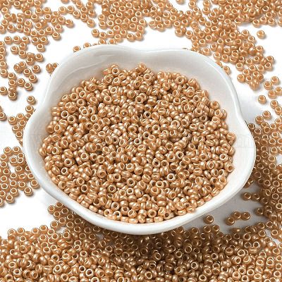 Выпечка краска стеклянные бусины&nbsp;SEED-P006-03A-24-1