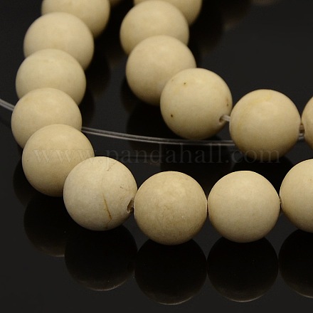 Natural Fossil Round Beads Strands G-N0120-05-10mm-1