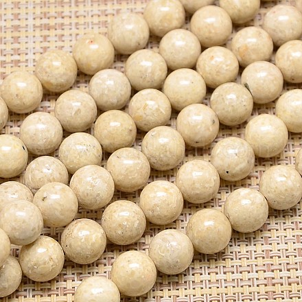 Natural Fossil Round Beads Strands G-I108-20mm-1