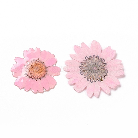 Opaque Resin Flower Cabochons RESI-L036-07B-1