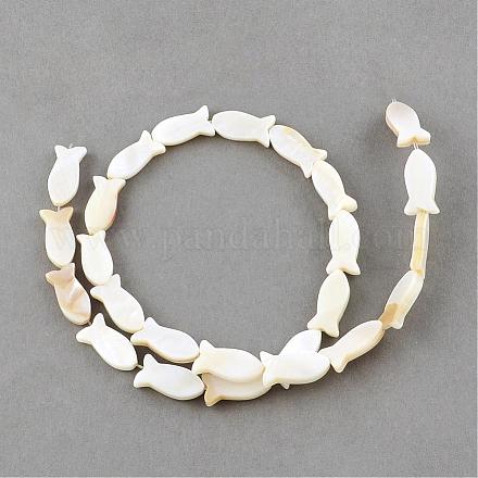 Chapelets de perles en coquillage naturel SSHEL-Q296-39-1