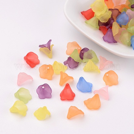 Transparent Frosted Acrylic Beads X-PL620-1