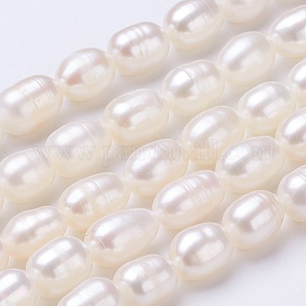 Grade AA Natural Cultured Freshwater Pearl Beads Strands PEAR-P002-41-1