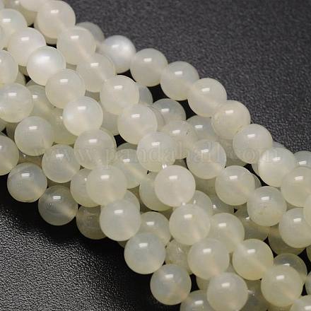 Fili di perline rotonde in pietra di luna bianca naturale G-L425-22-6mm-1