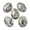 Natural Sesame Jasper Cabochons, Oval, 30x21.5~22x5~8.5mm
