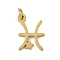 316L Surgical Stainless Steel Pendants, Constellation Charms, with Jump Ring, Golden, Pisces, 12.5x8.5x1.5mm, Hole: 2.5mm