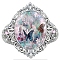 Alloy Resin Finger Rings for Women, Oval with Butterfly, Platinum, US Size 7(17.3mm)