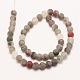 Natural African Bloodstone Beads Strands G-P295-05-10mm-2