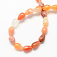 Dyed Natural Gemstone Red Agate Stone Beads Strands G-S107-11-2