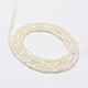 Perles de coquillage blanc naturel G-N0190-11-2mm-2
