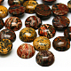 Naturleopardenfell Cabochons X-G-LS12x5-1
