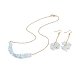 Ensemble de bijoux en perles d'aigue-marine naturelle SJEW-JS01230-07-1