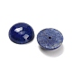 Natürliche Lapislazuli Cabochons&nbsp;G-B178-A03-16mm-2