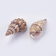 Perle di guscio BSHE-P026-37-2