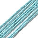 Natural Howlite Beads Strands G-C025-03A-01-1