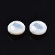 Natural Freshwater Shell Beads SHEL-N003-22-14P-3