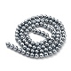 Brins de perles de coquillages naturels galvanisés SHEL-F008-03A-11-2