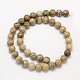 Natural Fossil Coral Round Bead Strands X-G-N0166-05-8mm-4