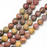Brins de perles de jaspe en peau de léopard naturel, ronde, 10~11mm, Trou: 1mm, Environ 38~39 pcs/chapelet, 15.1~15.3 pouce