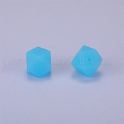 Шестиугольные силиконовые бусины SI-JX0020A-21